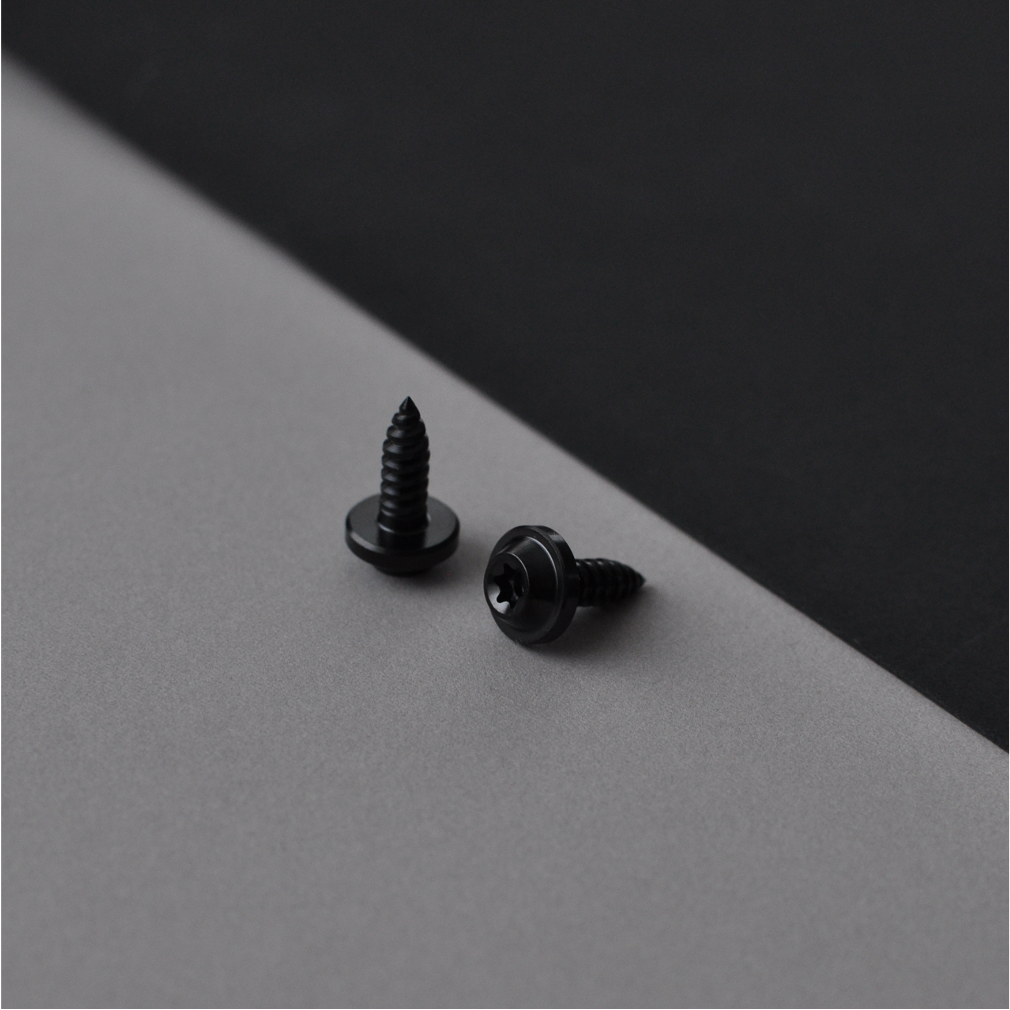 Titanium license plate screws